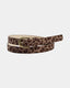 CARLIESY BELTS - Light brown leopard