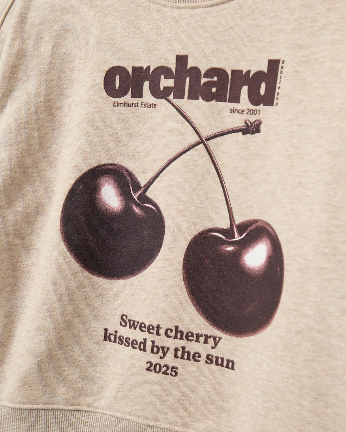 Sofie Schnoor KIDS ElisKB Sweatshirt Sweatshirt 7131 Beige Melange