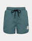 P241318-Shorts-Soft Sage Green
